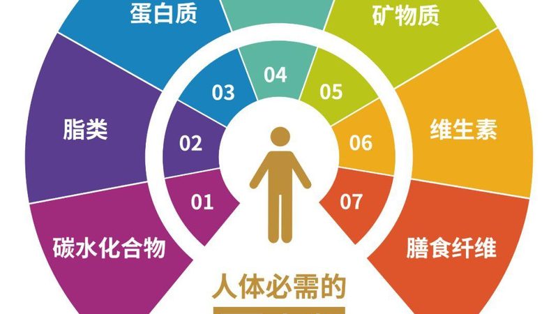 保健品OEM代工合同：规避风险，保障权益